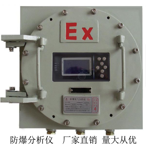 防爆分析仪 防爆分析仪