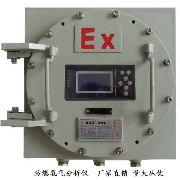 防爆氢分析仪 防爆氢分析仪