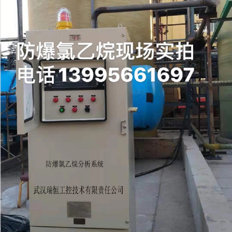 防爆氯乙烷分析仪RHC2H5CL-306 防爆氯乙烷分析仪RHC2H5CL-306